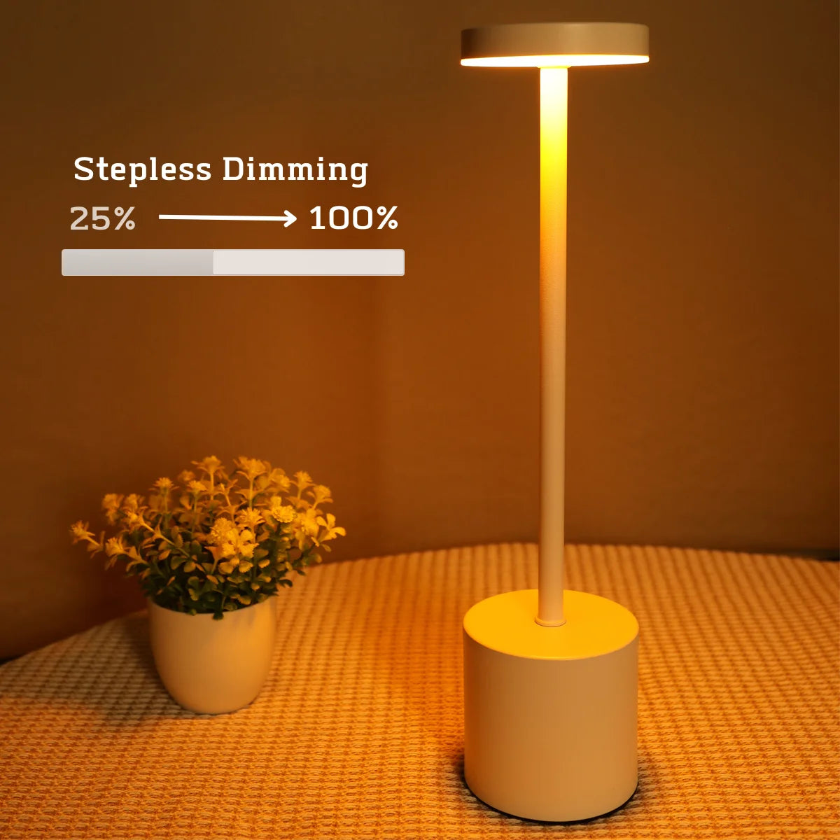 Simple LED Rechargeable Touch Metal Table Lamp